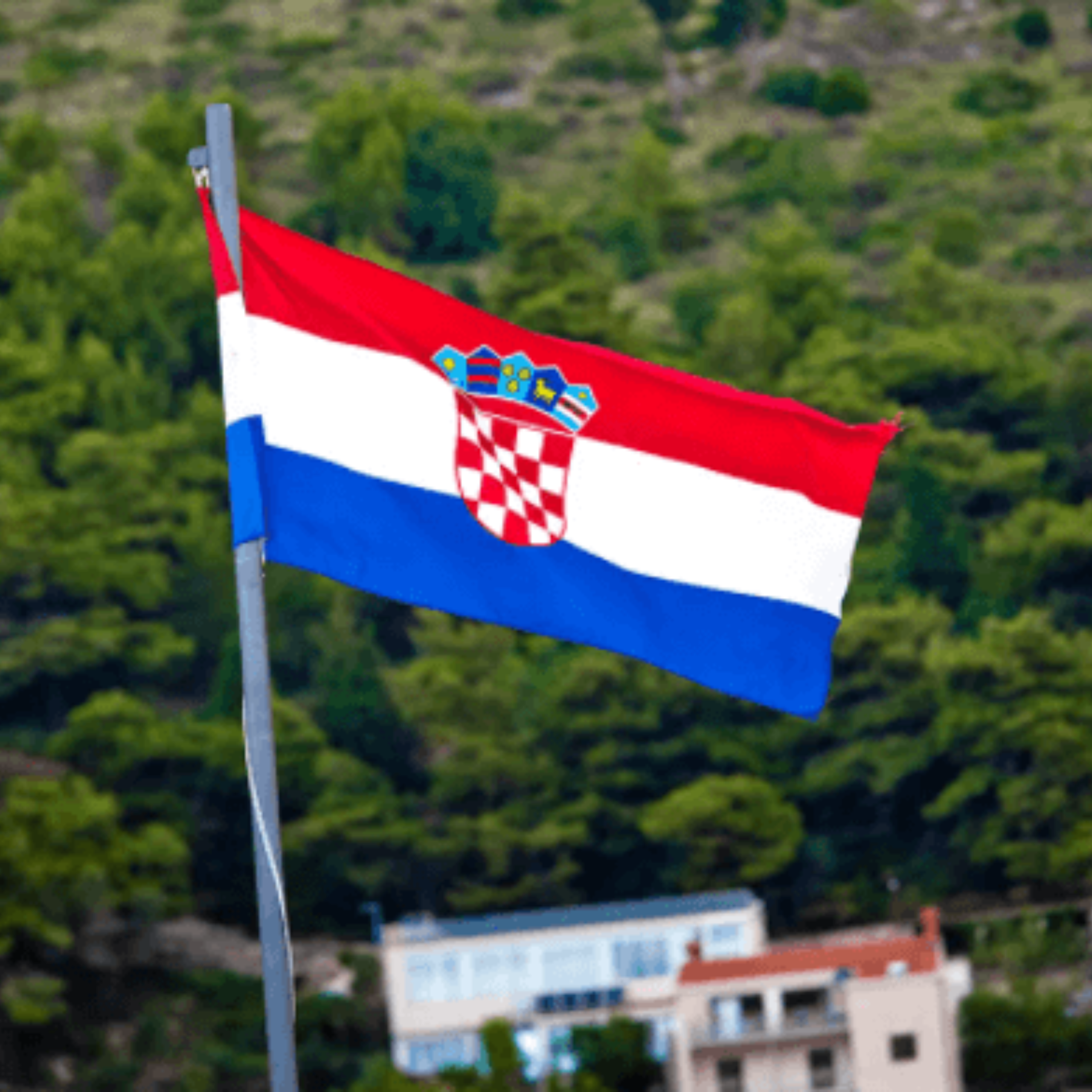 Untitled design (11)